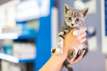 Summerhill Veterinary Centre