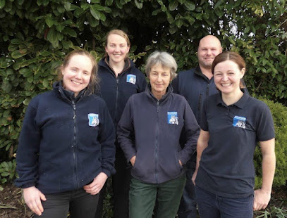 Summerleaze Equine Vets