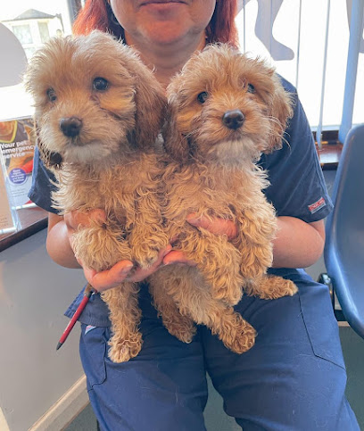 Swaleside Veterinary Surgery