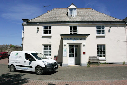 Tamar Vets Bude
