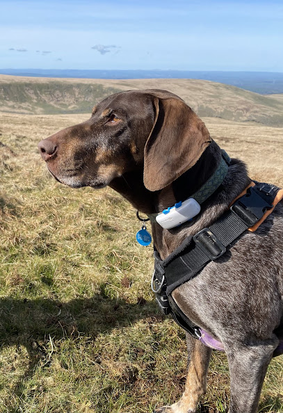 Tamar Vets Holsworthy