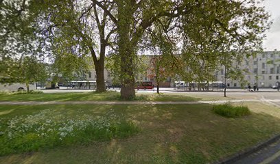 TAYLOR'S VETERINARY PHYSIOTHERAPY FOR ANIMALS