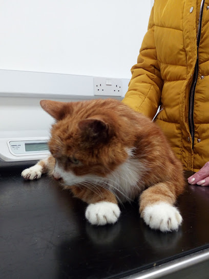 Temple End Vets Holmer Green