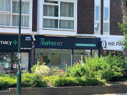 Thames Vet
