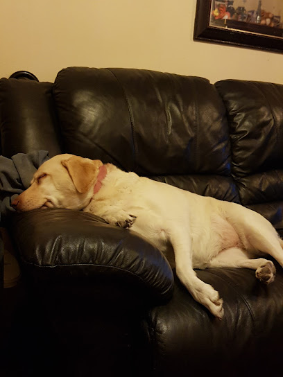 Thameswood Veterinary Clinic