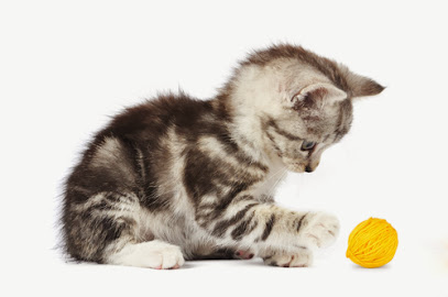 The Animal Health Centre