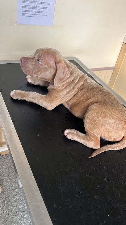 The Ark Veterinary Practice