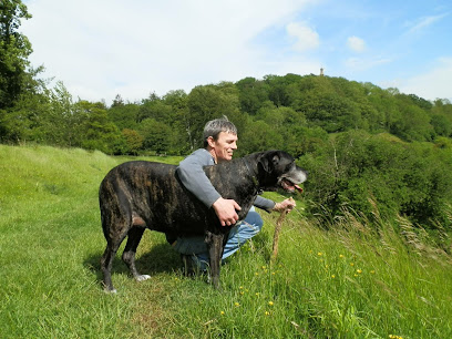 The Band Veterinary Centre