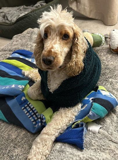 The Brambles Veterinary Surgery - Churchdown