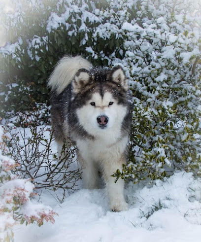 The Broadway Veterinary Group Ltd