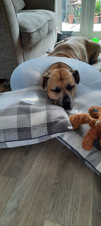 The Carisbrooke Vets