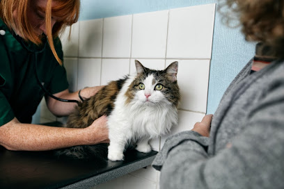 The Cat Clinic