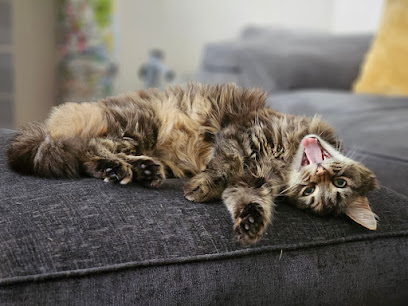 The Crofts Veterinary Centre