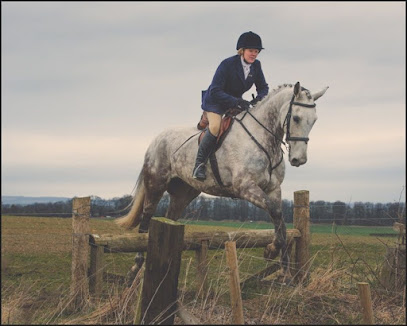 The Equine Dental Vet