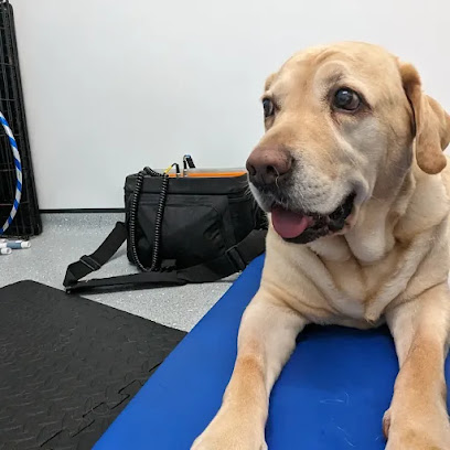 The Harrogate Vet Physio Hydrotherapy Centre