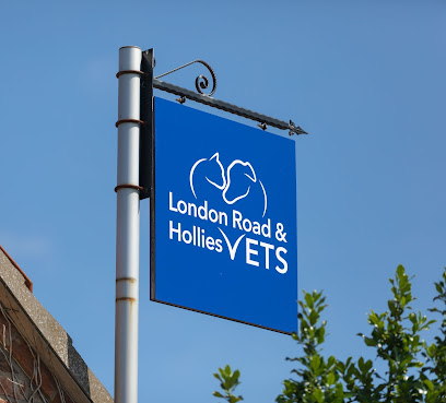 The Hollies Veterinary Clinic