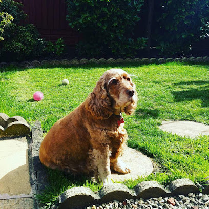 The Lane Family Pet Centre Ltd