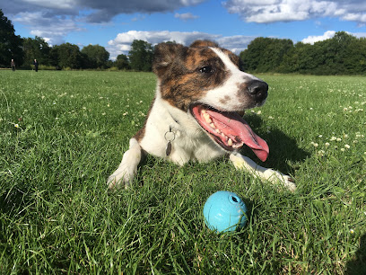 The Mind Vet - Behavioural Medicine Service