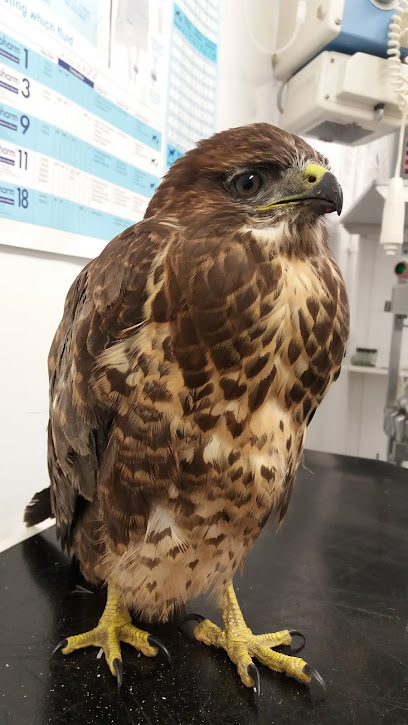 The Oak Veterinary Practice