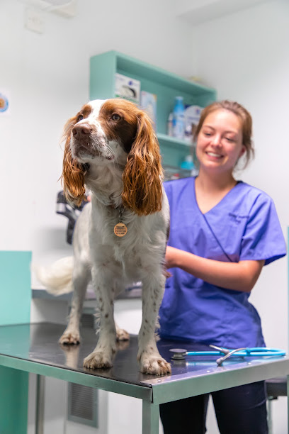 The Park Vet Group in Glenfield