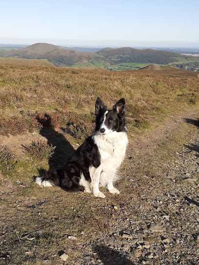 The Tern Veterinary Group