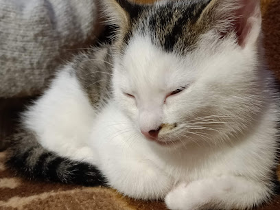 The Vale Veterinary Centre Cullompton