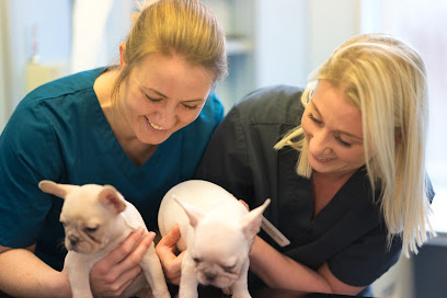 The Vet Clinic Leighton Buzzard