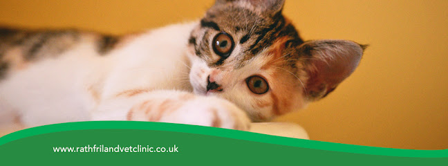 The Veterinary Clinic