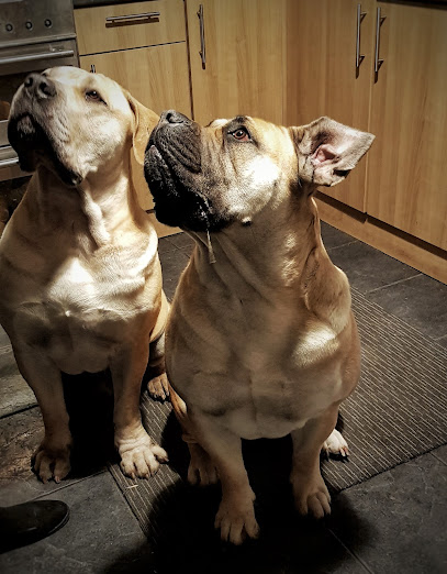 The Wylie Veterinary Centre Ltd