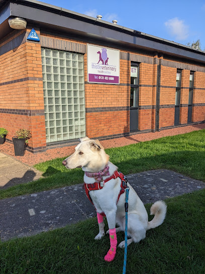 Thistle Vets