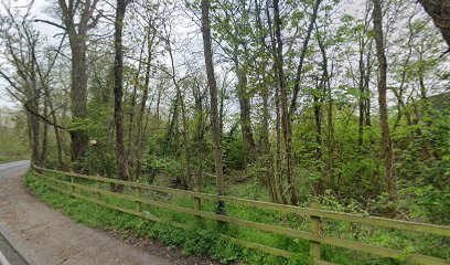 Three Bears Mobile Vets