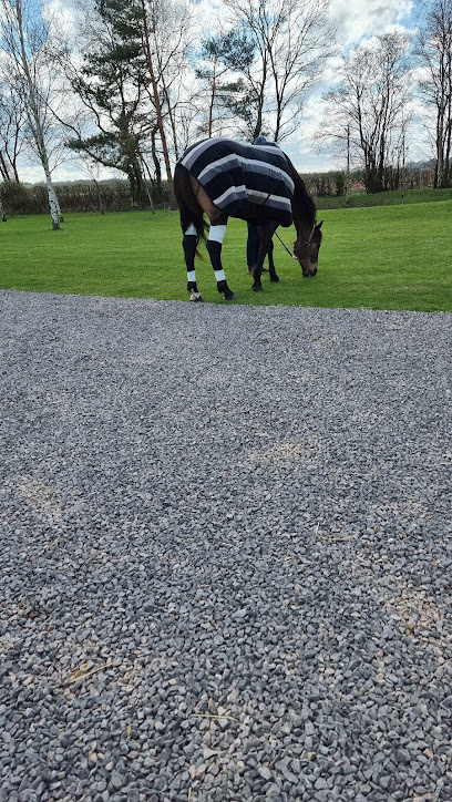 Three Counties Equine Hospital