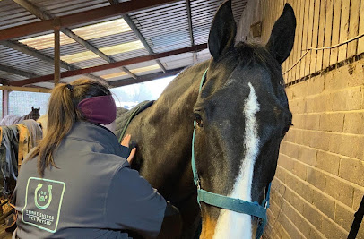 Three Shires Veterinary Physiotherapy