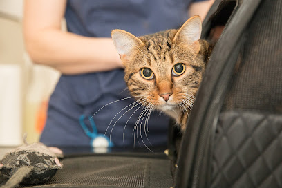 Tonypandy Veterinary Clinic