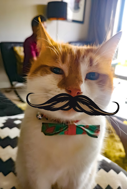 Top Cat Veterinary Centre