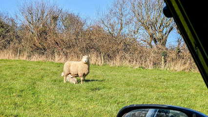 Torch Farm Vets Holsworthy