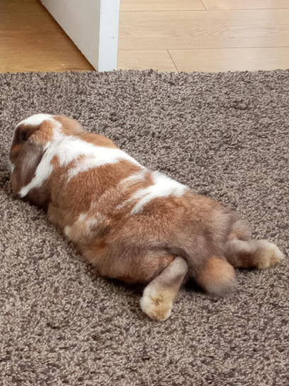 Tower Veterinary Group, Knaresborough Surgery