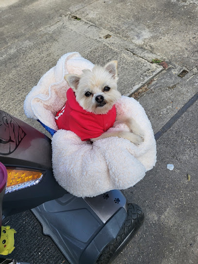 Vet's Klinic Swindon