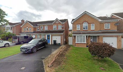 Veterinary Acupuncture Dorset, Amy Woodhouse