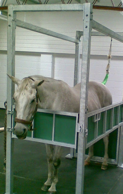 Veterinary Horse Care - Supply Collection and mobile horse vet