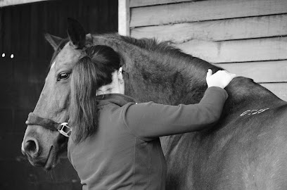 Veterinary Physiotherapy Centre