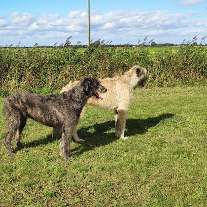 Veterinary Reproduction Service