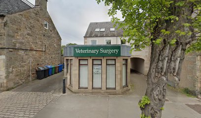 Veterinary Surgery