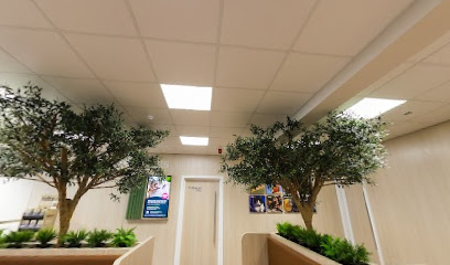 Vets For Pets - Cambridge