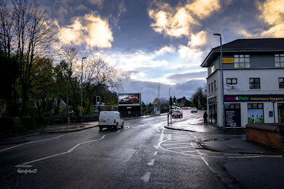 Vets4Pets - Bearsden