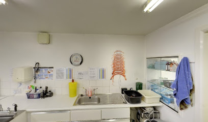 Vets4Pets - Bradford Idle (Eccleshill)