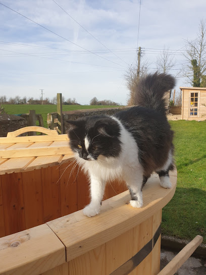 Vets4Pets - Bridgwater