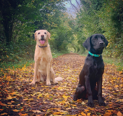 Vets4Pets - Bristol Emersons Green