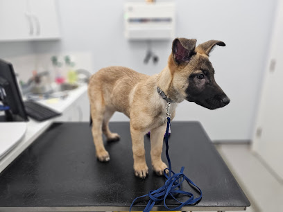 Vets4Pets - Bromsgrove