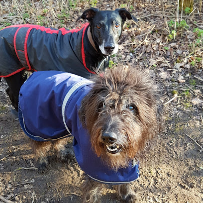 Vets4Pets - Canterbury Sturry Rd